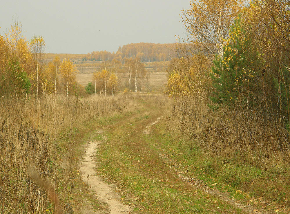 Эх, путь дорожка
