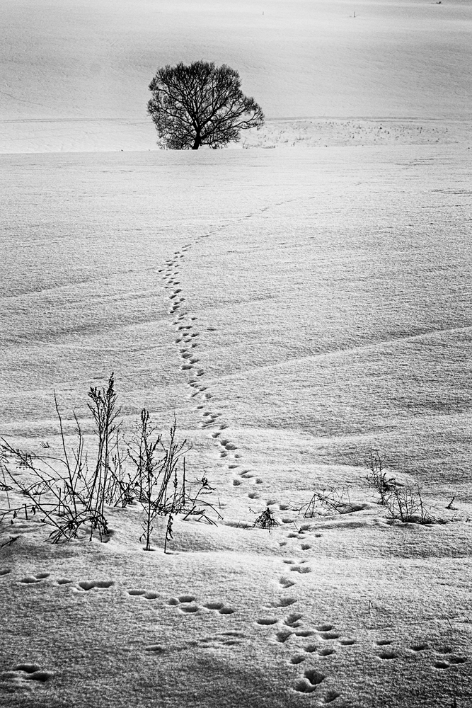 Эх, путь дорожка