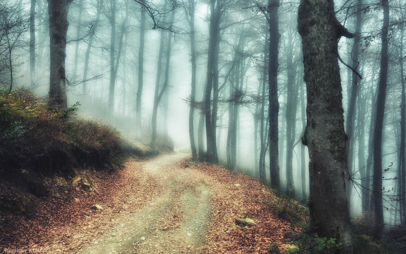 Эх, путь дорожка...