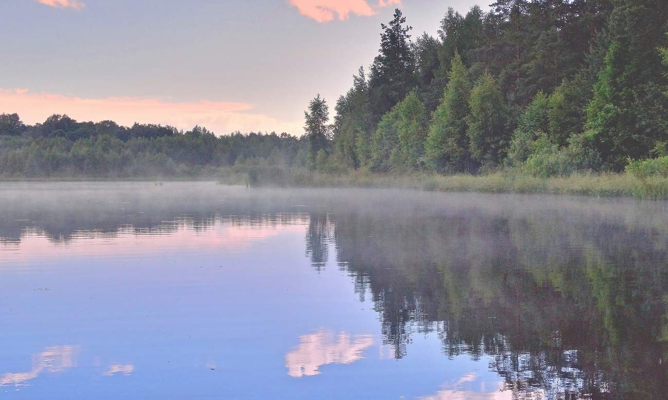 Туман стелется