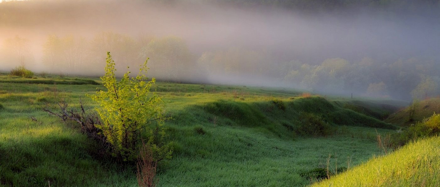 Утренняя нега