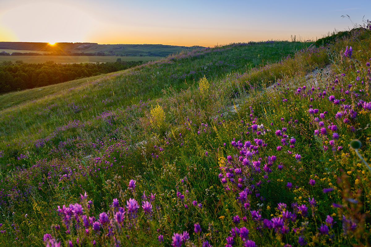 Середина лета...
