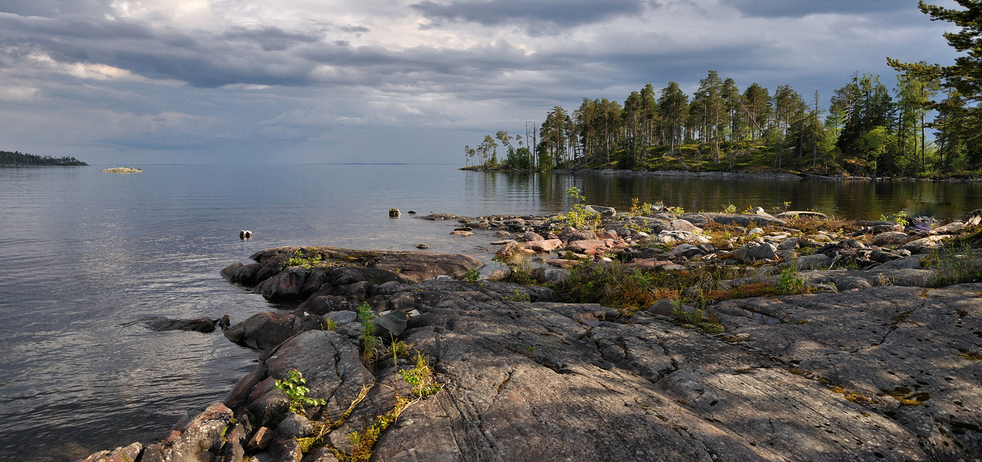 После дождя