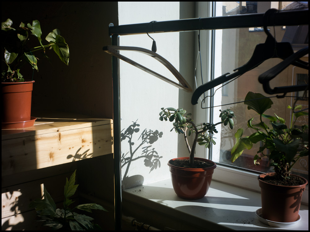 бифуркационный