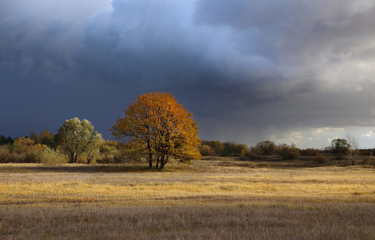 Осенние контрасты