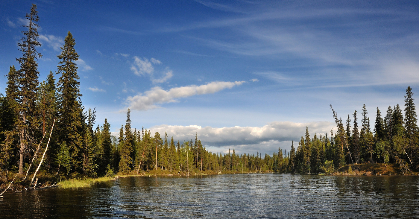 Остроконечных елей ресницы, над голубыми глазами озёр.