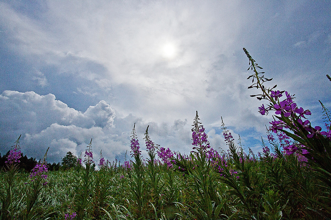 Экватор лета