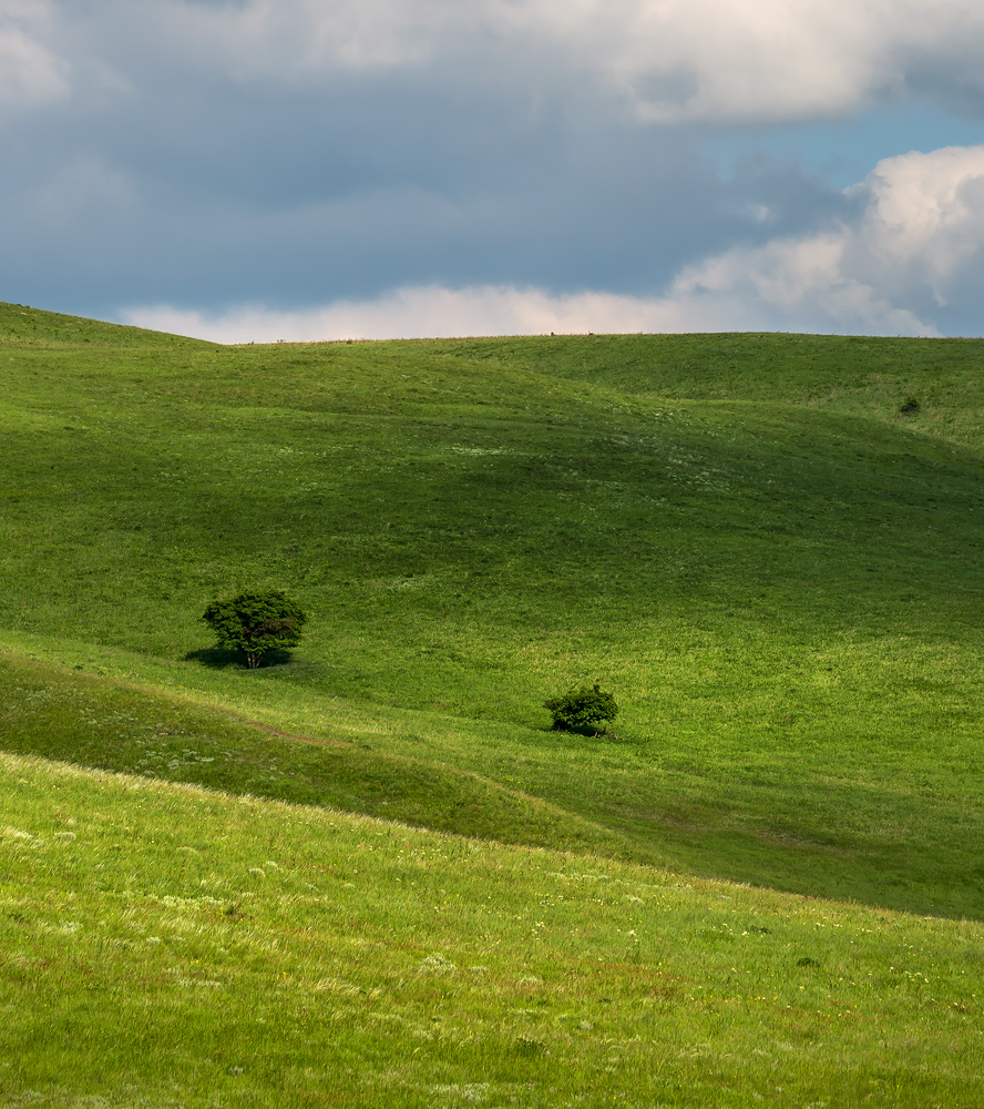 Весенние холмы.