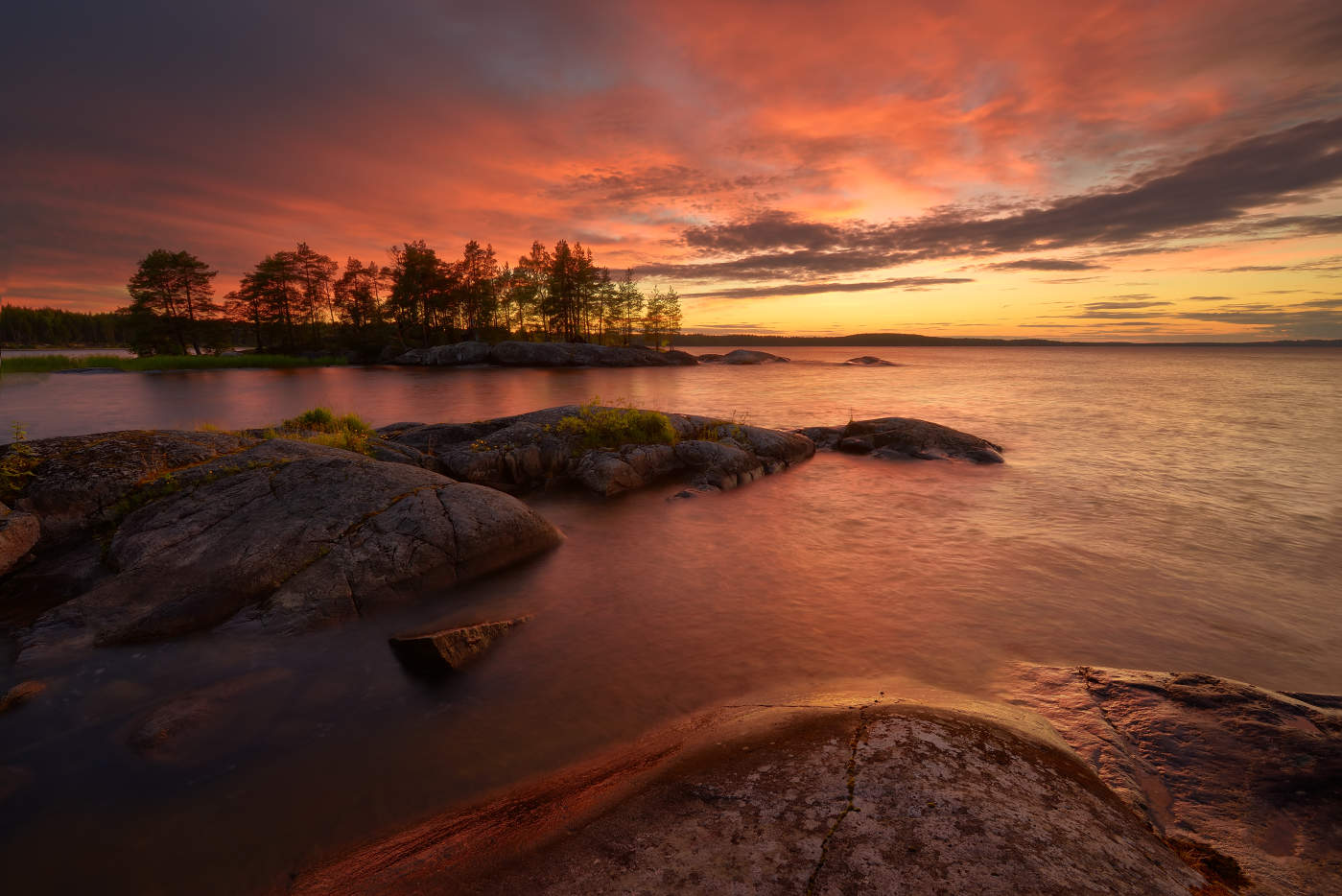 Розовые сны Онего