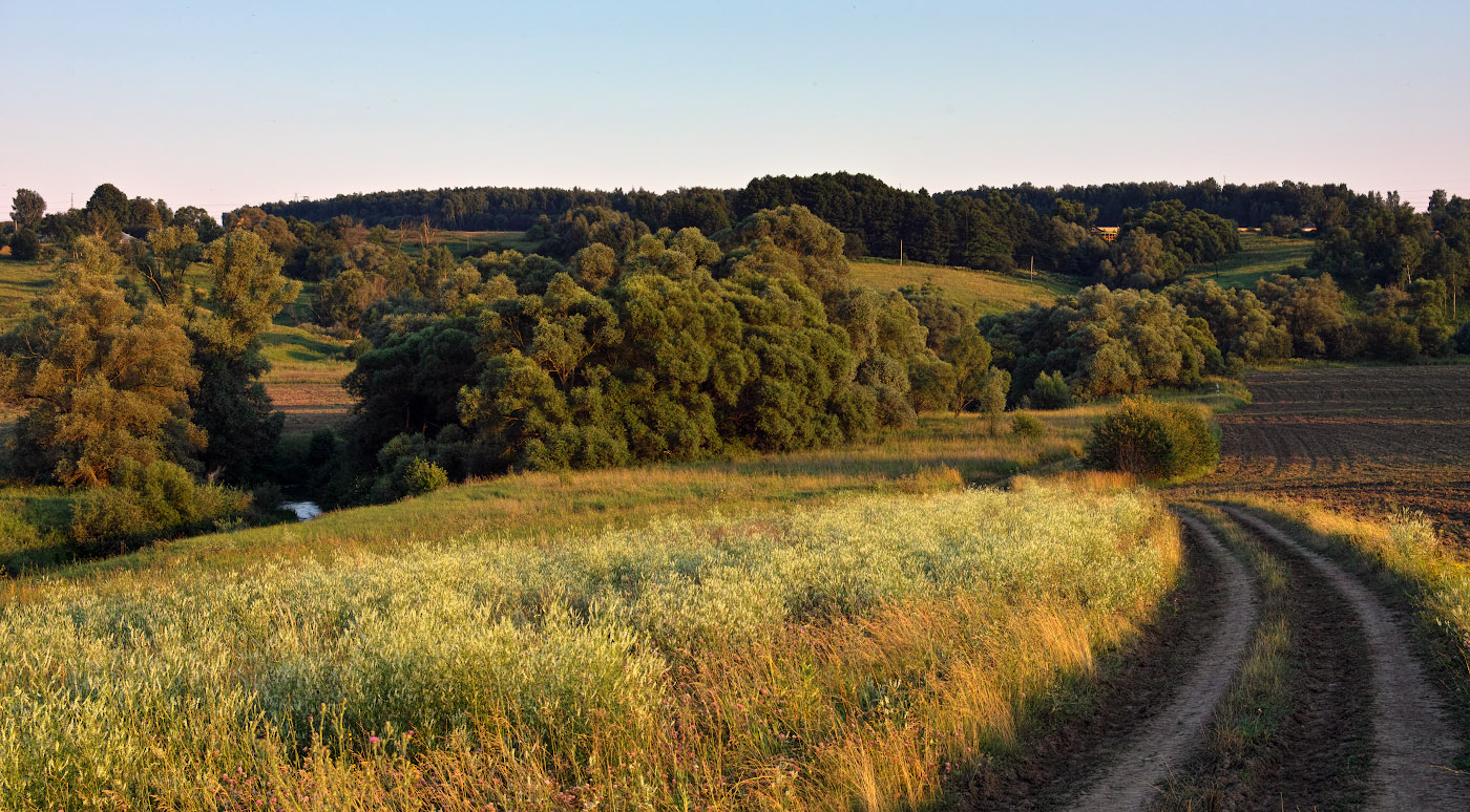 Закатные зарисовки- дорога вдоль поля