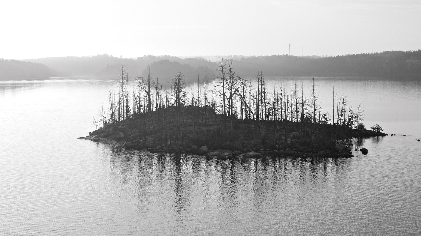 Без птичьего гомона до весны