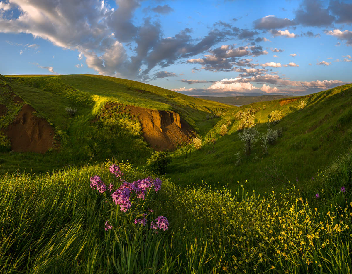 Вид на балку Второй Лог.