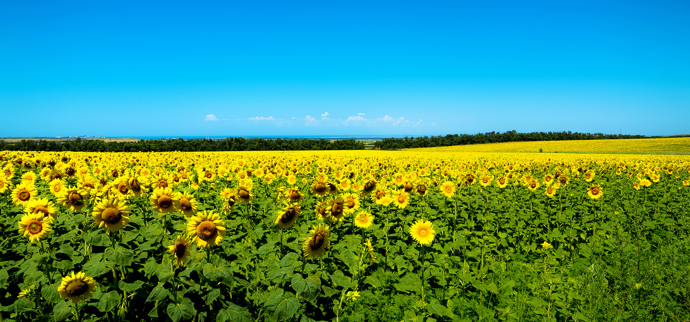 Солнечная долина