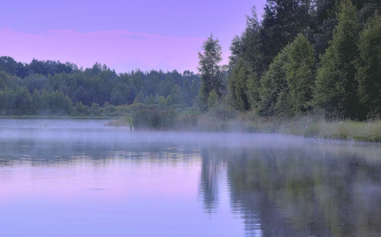 Там за туманами