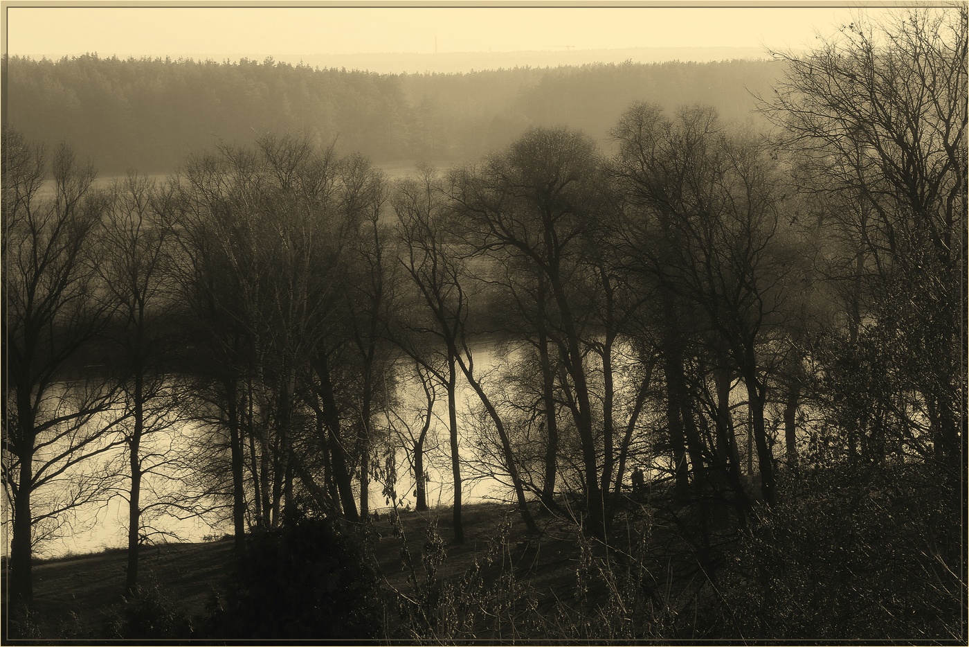 Архангельское