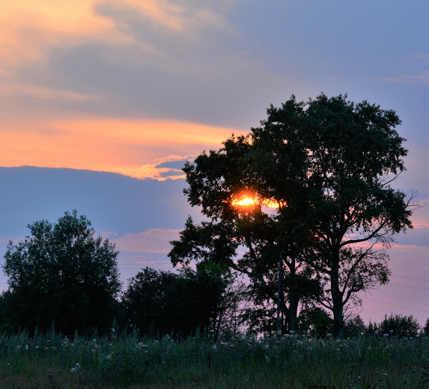"И - сумерки дышали холодком..."