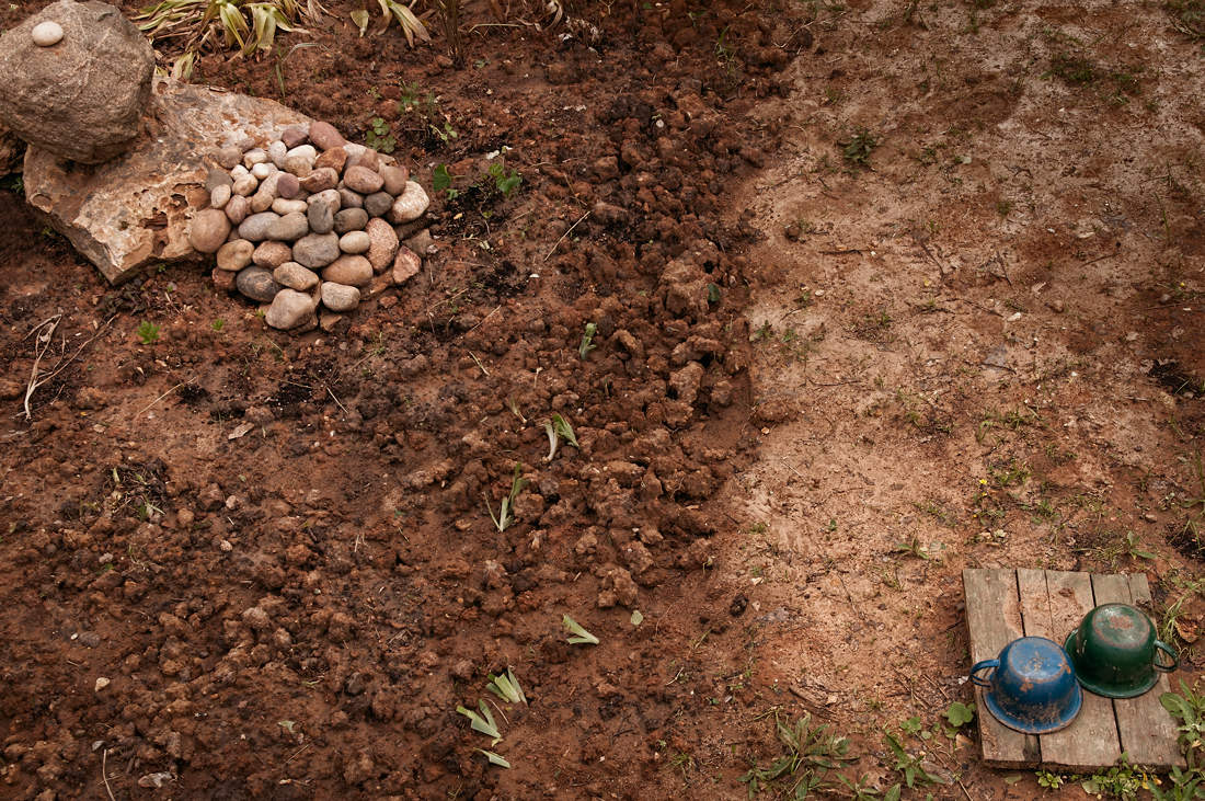 Красота спасет мир