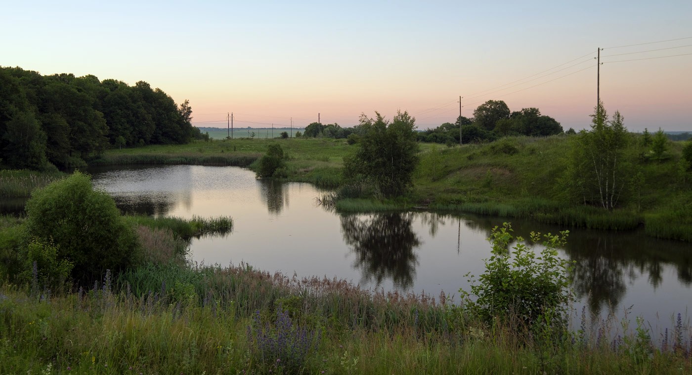 Утренняя прохлада