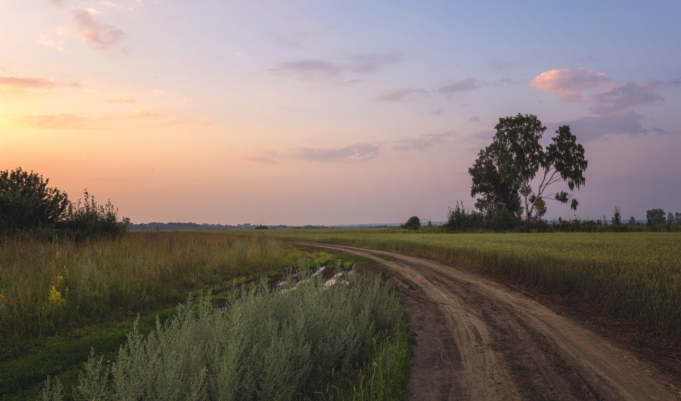Полевой дорогой...