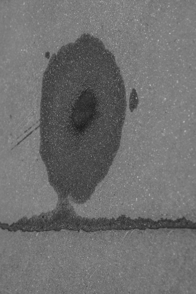 Красота спасет мир