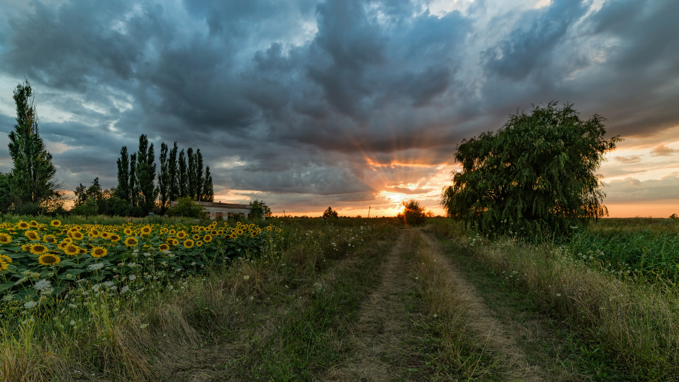 Вечер с подсолнухами у старой насосной станции