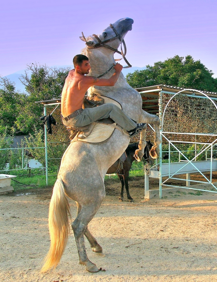 Укротитель