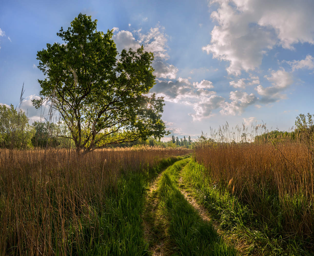 Новое утро.