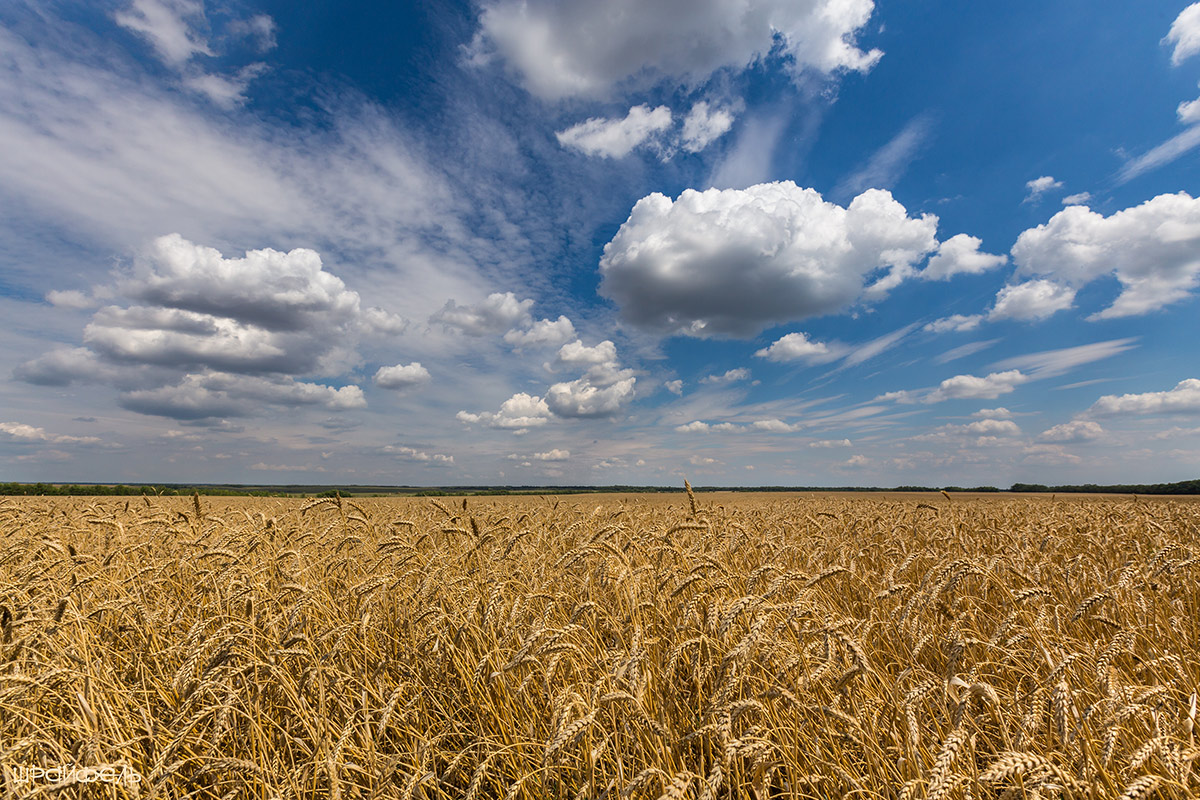 Июль, двадцать третье