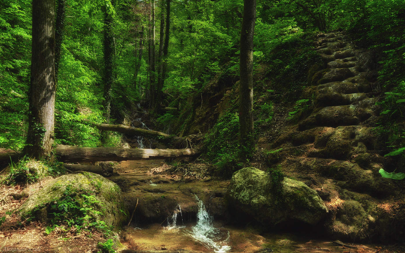 Где-то в Кубанских дебрях...