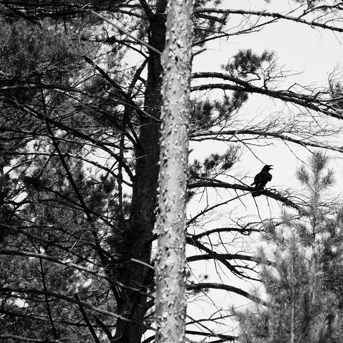 На светлой стороне