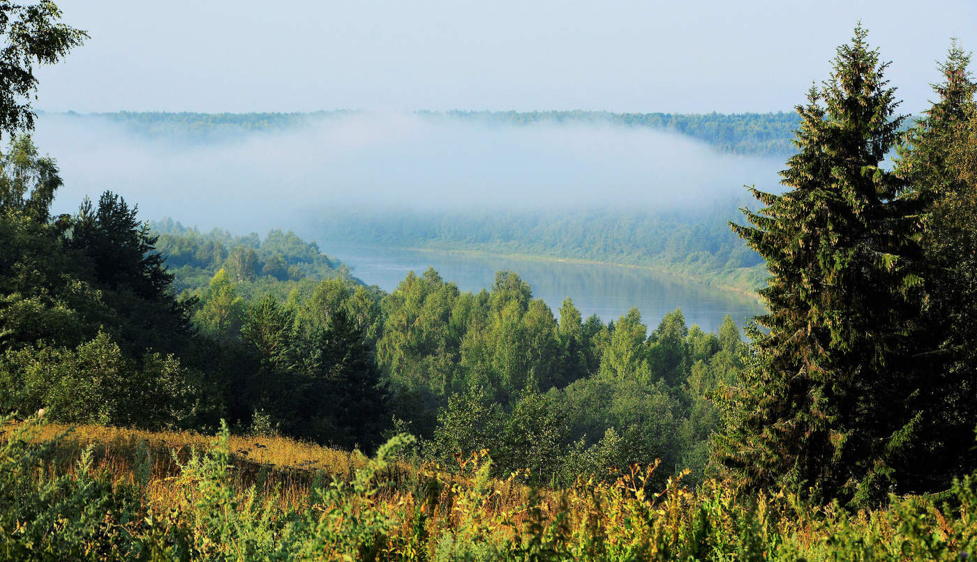 Ранним утром ...