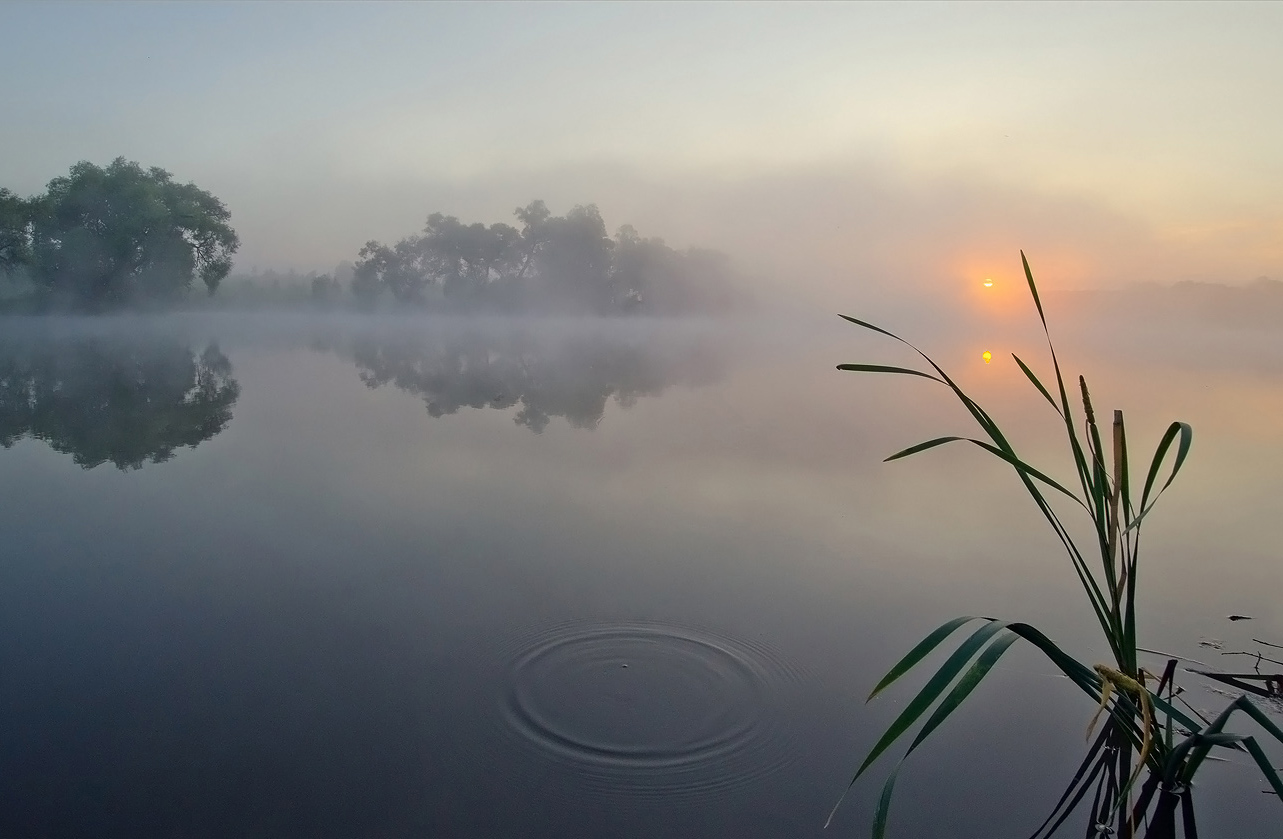 Дотянуться до Солнца