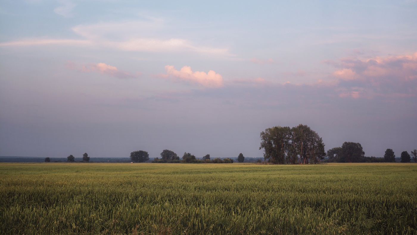 В вечерних тонах.