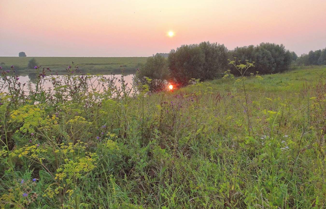 Вечерняя тишина