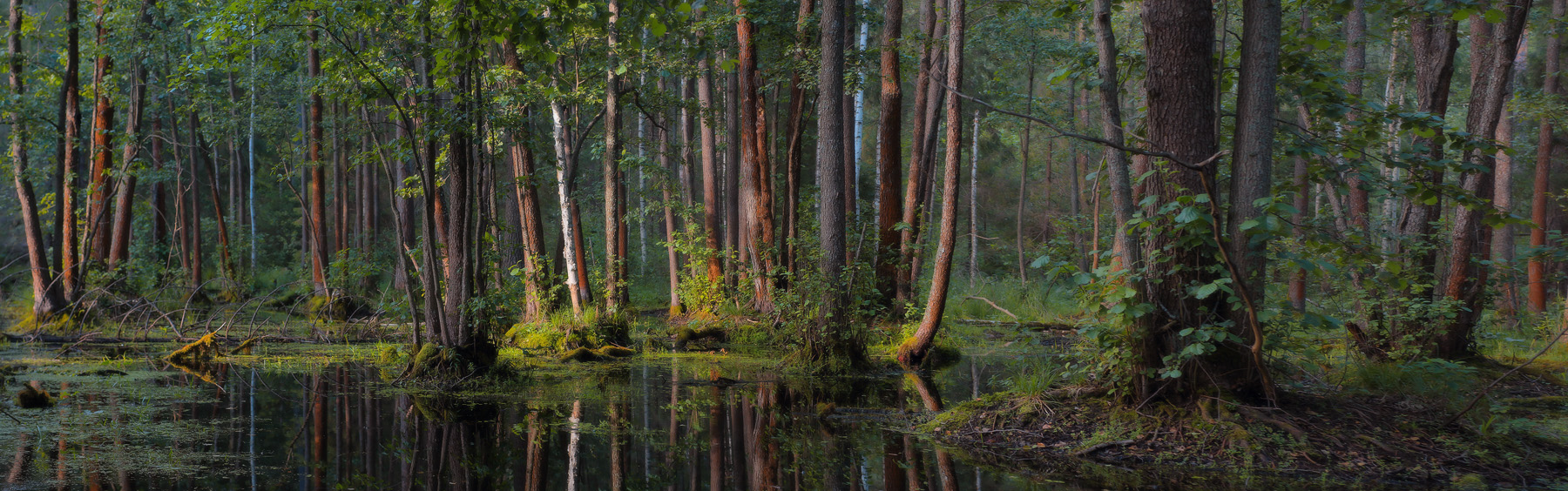 Вечернее преображенние