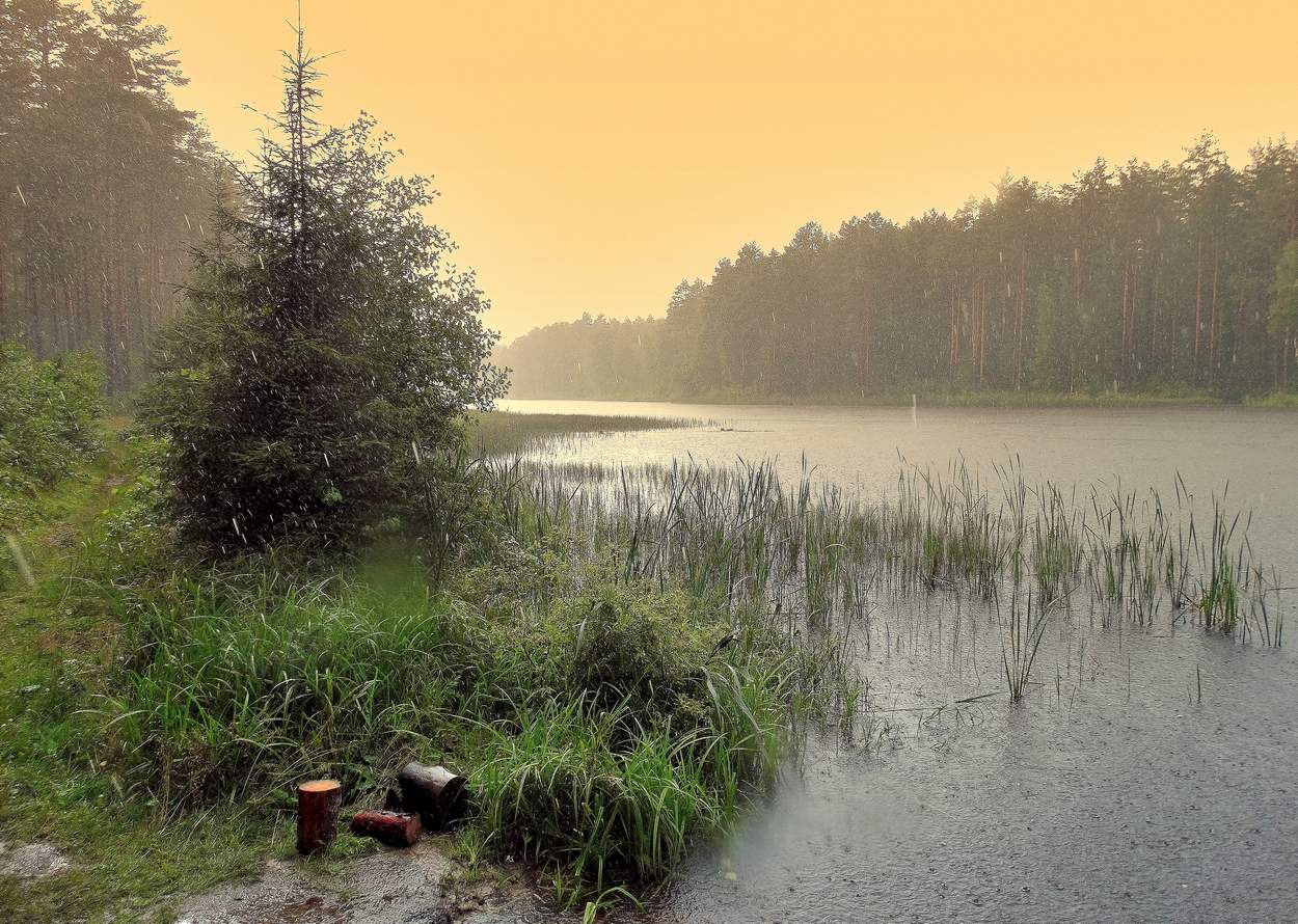 И грянул гром