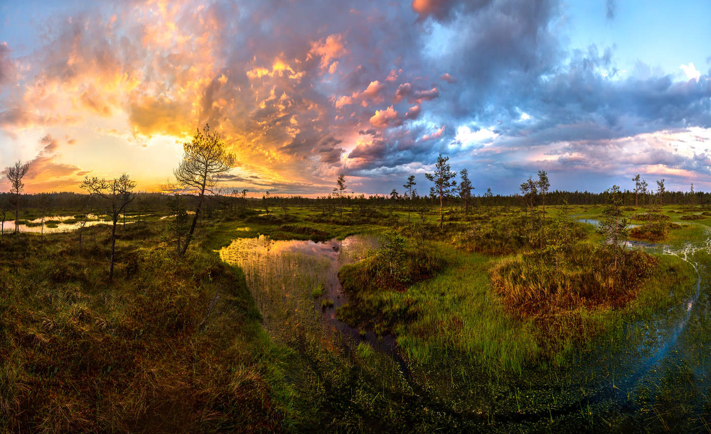 Из серии "Ленинградские болота, или красочный закат.