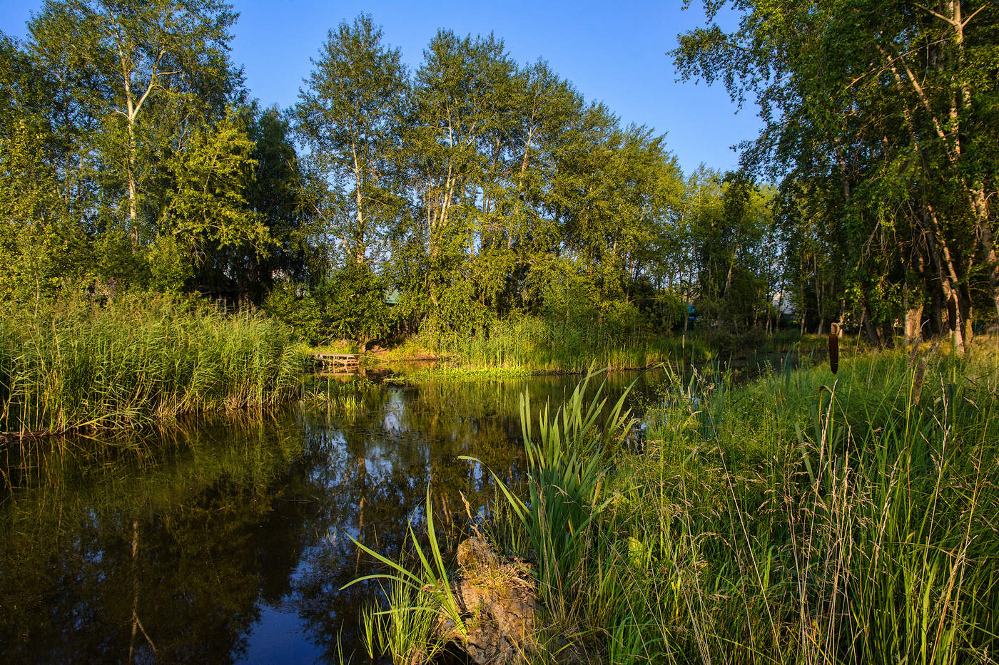 Летний вечер