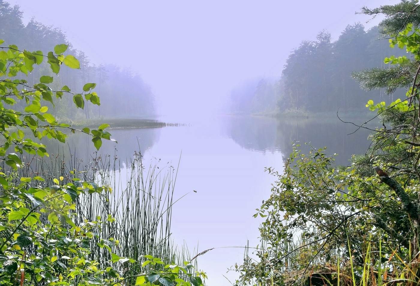 После дождя