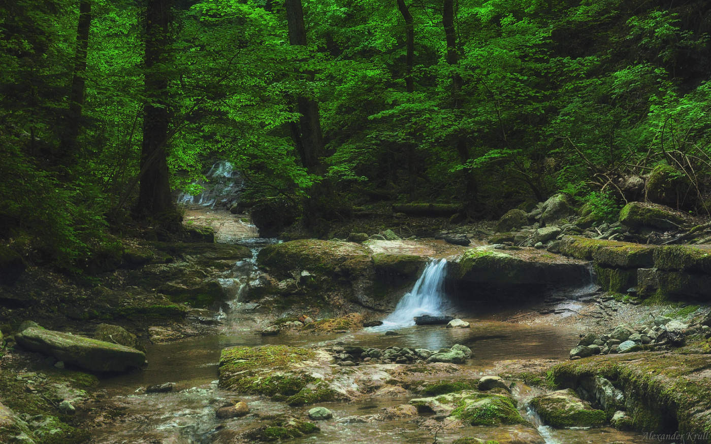 Лесной сюжет...