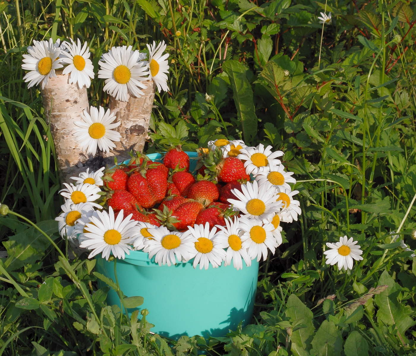 Сочное лето