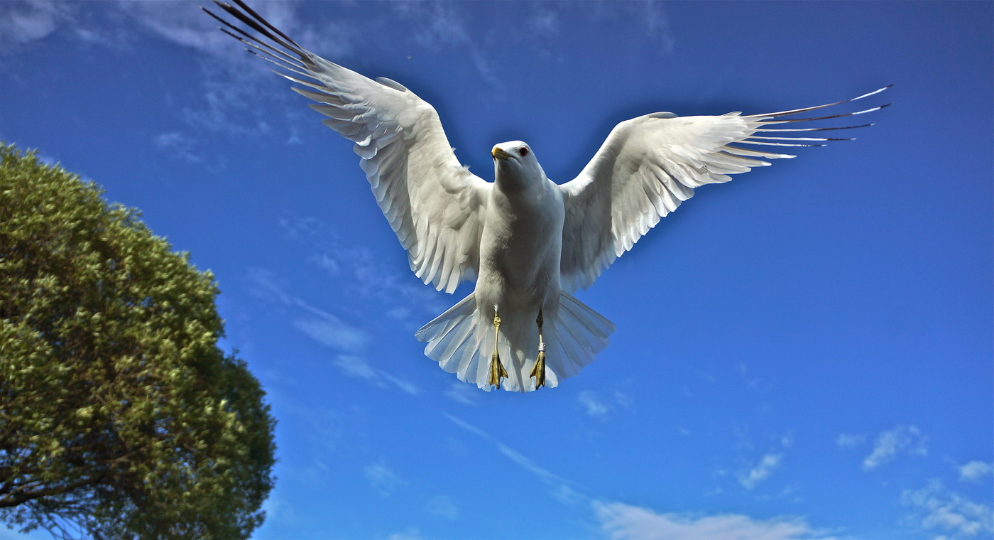 Лето, привет