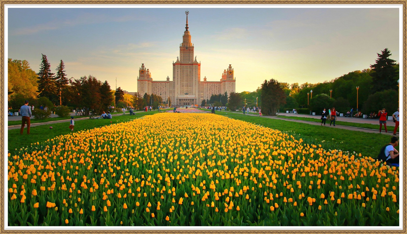 Мои университеты 1