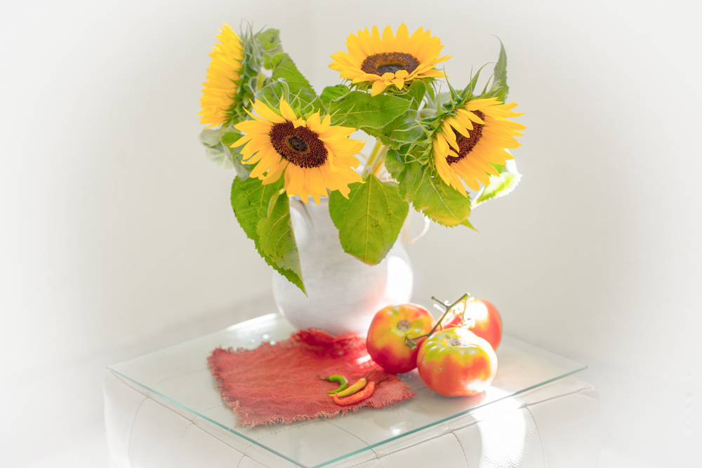 подсолнухи