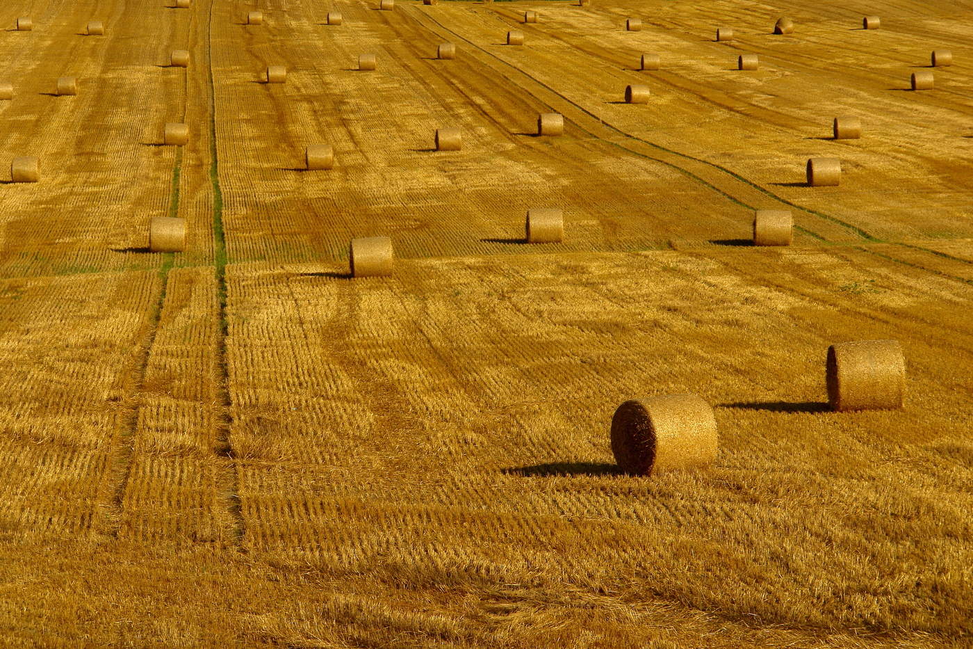 Золотые слитки Беларуси