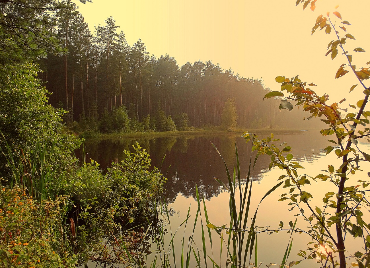 Парит после грозы
