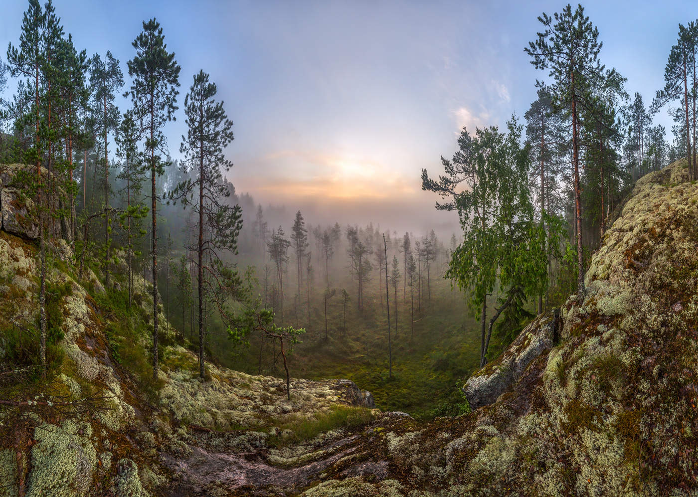 Из серии «Каменный берег заросшего болота
