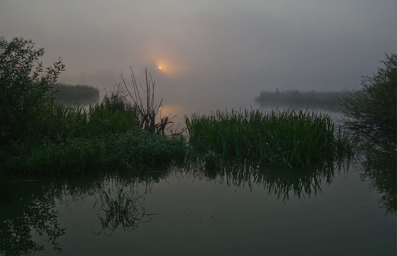 Где лучше клюют караси ( Архангельское )