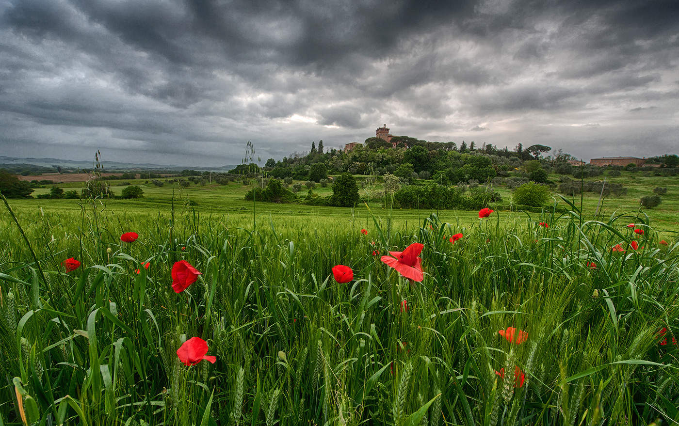 Красное и зеленое
