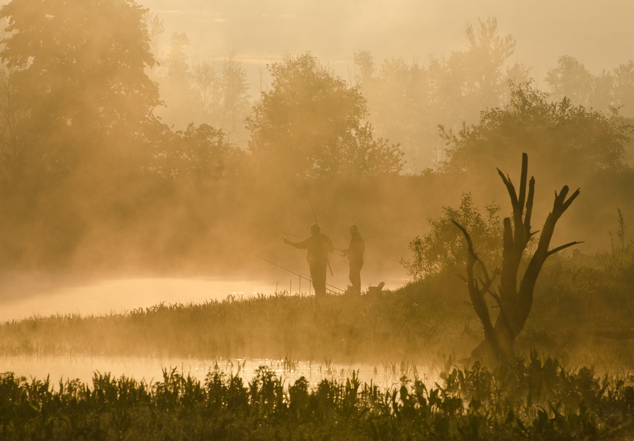 Где лучше клюют караси ( Коптево )